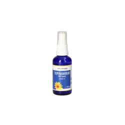 Храносмилателна система Йерусалимски артишок (Земна ябълка) 108 mg х 50 ml, спрей