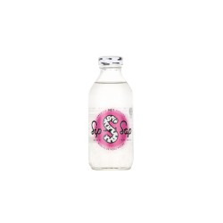 Детоксикация и тонус - Био брезов сок с парченца алое вера, 330 ml