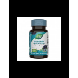 Bilberry-Черна боровинка – силно зрение, 60 капсули Nature’s Way