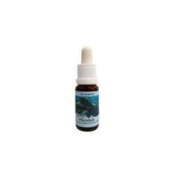 За медитация - Есенция Черна гринда № 10, капки 15 ml