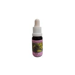 Зарежда с енергия - Есенция Дъб № 22, капки 15 ml
