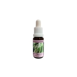 При отчаяние и безизходица - Есенция Сладък кестен, капки 15 ml