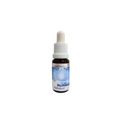 Разбива предразсъдъците - Есенция Хахахил (Angel Esssence № 10), капки, 15 ml