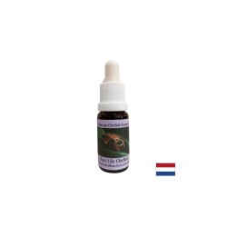 Осъзнаване на настоящето чрез уроците от миналото - Есенция Орхидея на миналия живот № 16, капки 15 ml