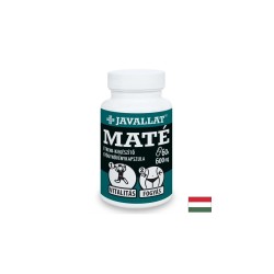 Здравословно отслабване - Йерба Мате, 600 mg x 60 капсули
