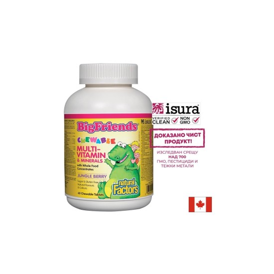 Multi-Vitamin & Minerals Big Friends® / Мултивитамини и минерали за деца х 60 дъвчащи таблетки с вкус на плодове от джунглата Natural Factors