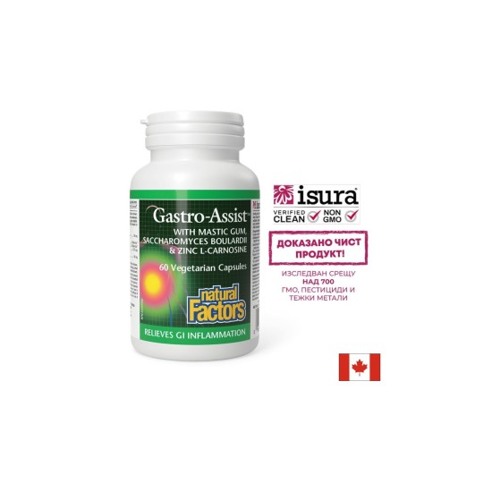 Мастикс, цинков карнозин и лайка за спокоен стомах - Gastro Assist, 60 капсули