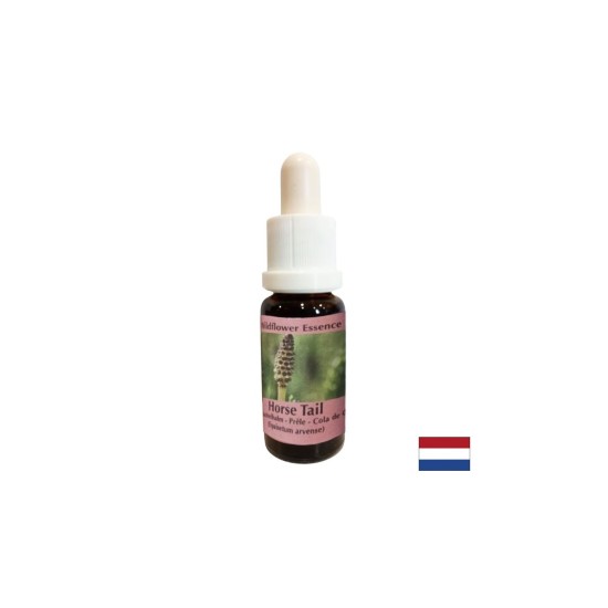 Есенция Полски хвощ №41 – Вътрешна сила и емоционален баланс, 15 ml капки