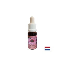 Есенция Ехинацея №55 – Емоционално пречистване и енергийна защита, 15 ml капки