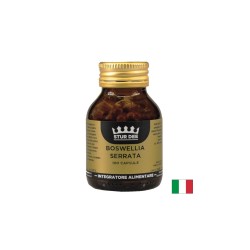 Босвелия 100 mg + Дяволски нокът 170 mg – Здрави и подвижни стави, 100 капсули