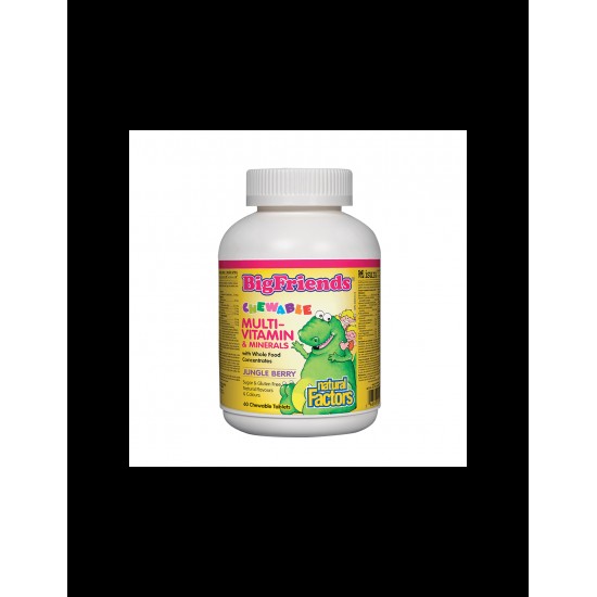 Multi-Vitamin & Minerals Big Friends® / Мултивитамини и минерали за деца х 60 дъвчащи таблетки с вкус на плодове от джунглата Natural Factors Multi-Vitamin & Minerals Big Friends® / Мултивитамини и минерали за деца х 60 дъвчащи таблетки с вкус на плодове от джунглата Natural Factors
