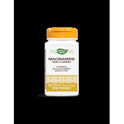 Niacinamide/ Ниацинамид (непредизвикващ зачервяване) 500 mg х 100 капсули