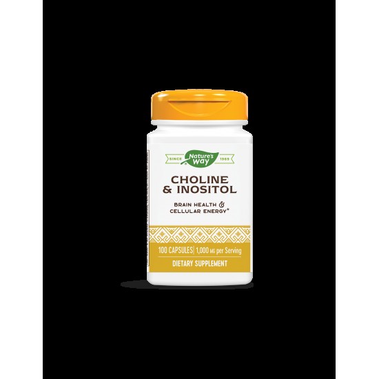 Choline & Inositol –Холин и инозитол - Невропротекция и метаболитен профил, 500 mg, 100 капсули Nature’s Way