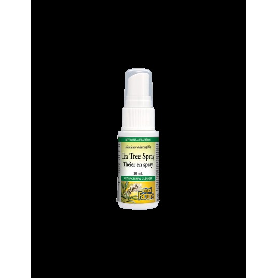 Tea Tree Spray/ Чаено дърво спрей за тяло, 30 ml Natural Factors Tea Tree Spray/ Чаено дърво спрей за тяло, 30 ml Natural Factors