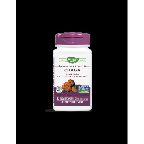 Chaga / Чага 480 mg x 30 капсули