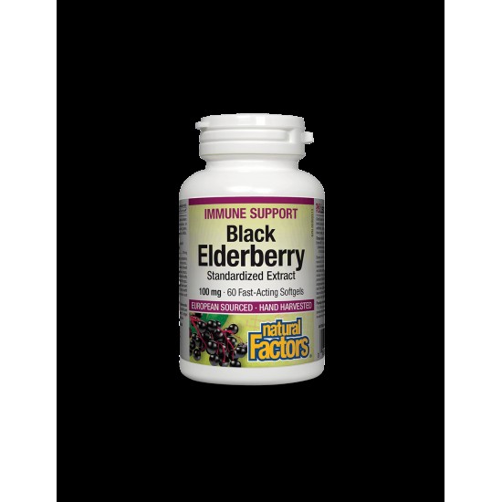 Black Elderberry Standardized Extract / Черен бъз /Стандартизиран екстракт/, 100 mg, 60 бързоусвоими софтгел капсули