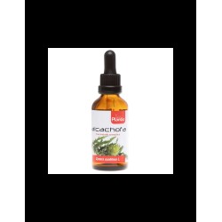 Alcachofa/ Артишок (тинктура)/ Черен дроб и жлъчка, 50 ml Artesania Alcachofa/ Артишок (тинктура)/ Черен дроб и жлъчка, 50 ml Artesania