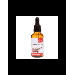 Валериана – стрес, нервност, безсъние - Valeriana - Тинктура, 50 ml