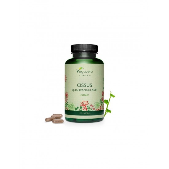 Cissus Quadrangularis/ Цисус, 120 капсули, 100% Vegan Vegavero Cissus Quadrangularis/ Цисус, 120 капсули, 100% Vegan Vegavero