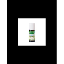 Nasya-Öl Ayurveda / Билково масло за терапия Нася, 10 ml