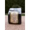 Бъзак – Sambucus ebulus JelevHerbs009 Бъзак – Sambucus ebulus JelevHerbs009