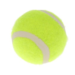 Ракета за тенис на корт MAXIMA, Детска, 53 см, 21 инча, Комплект с калъф и топка, Синя 20032301