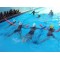 Пръчка - нудълс (макарон) за водна гимнастика , 147 - 152 см, Ф6 см - 200454