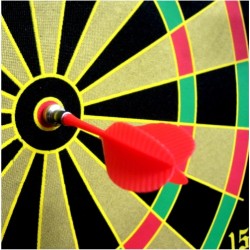 Дартс магнитен в тубус MAXIMA, 31 см. 200916