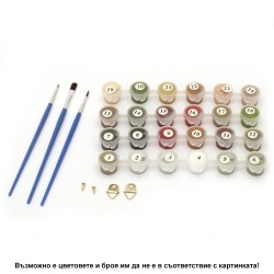 Комплект за рисуване по номера с платно 40х30 см, Модел 1 Комплект за рисуване по номера с платно 40х30 см, Модел 1