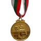 Медал за волейбол MAXIMA, 5 см, С трикольорна лента, За първо място OOO15101