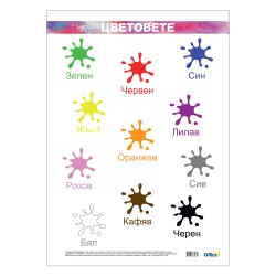 Office 1 Ученическо табло ''Цветове'', ламинирано, 50 x 70 cm Office 1 Ученическо табло ''Цветове'', ламинирано, 50 x 70 cm