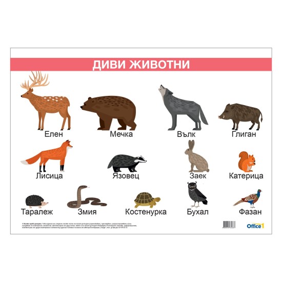 Office 1 Ученическо табло ''Диви животни'', ламинирано, 50 x 70 cm, модел 1 Office 1 Ученическо табло ''Диви животни'', ламинирано, 50 x 70 cm, модел 1