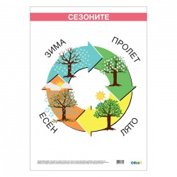 Office 1 Ученическо табло ''Сезони'', ламинирано, 50 x 70 cm Office 1 Ученическо табло ''Сезони'', ламинирано, 50 x 70 cm