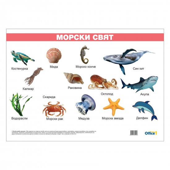 Office 1 Ученическо табло ''Морски свят'', ламинирано, 50 x 70 cm, модел 2 Office 1 Ученическо табло ''Морски свят'', ламинирано, 50 x 70 cm, модел 2