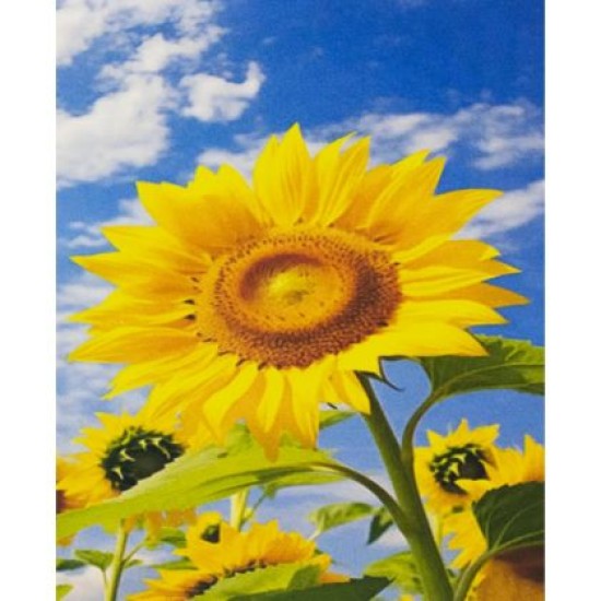 Диамантен пъзел мозайка, 30х20 см, Модел 10 /27016810/ Диамантен пъзел мозайка, 30х20 см, Модел 10 /27016810/