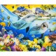 Комплект за рисуване по номера с платно 40х30 см - Модел 16 Комплект за рисуване по номера с платно 40х30 см - Модел 16