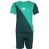 Екип за футбол/ волейбол/ хандбал, фланелка с шорти зелено и тъмно зелено, Размер XL /40016601/