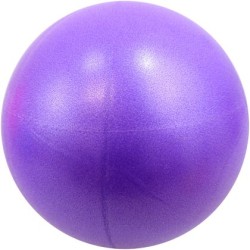 Топка за пилатес MAXIMA, 20 см, Лилава 31069002 Топка за пилатес MAXIMA, 20 см, Лилава 31069002