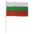 Знаме на България 20х15 см с дръжка 400901